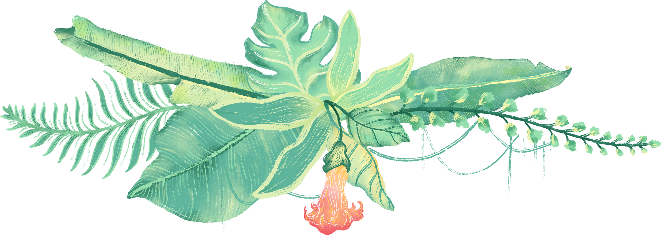 Tropical Plants